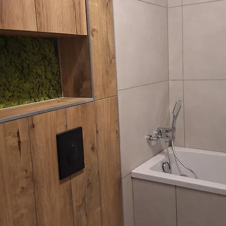 Grey Polana Szaflarska Apartment Nowy Targ