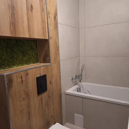 Apartment Grey Polana Szaflarska Nowy Targ