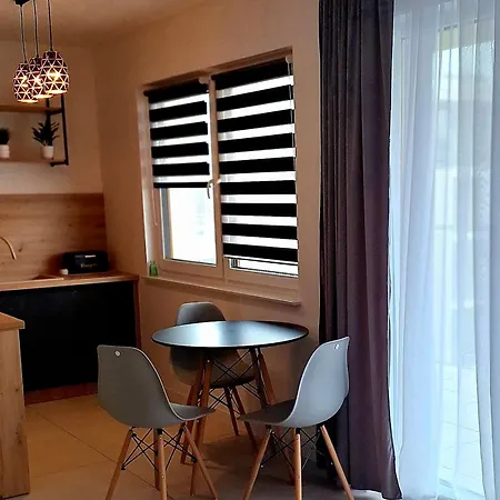 Grey Polana Szaflarska Apartment *