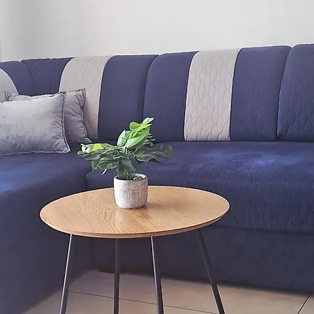Apartament Grey Polana Szaflarska *